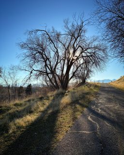 [EN] It takes a lot of courage to be fully alive.
[PT] É preciso muita coragem para estar plenamente viva.
#mindfulness #atençãoplena #courage #coragem #humanflourishing #florescimentohumano